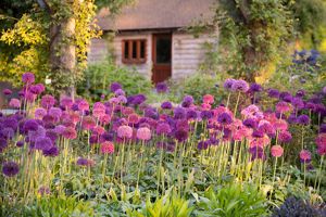 Photo 28- click for photo gallery